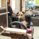Dogs Taught to Drive for Animal Adoption Campaign