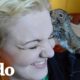 Dos ardillas bebés son liberadas a la vida salvaje por primera vez | El Dodo