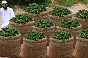 Ever Green Lady Finger Masala Recipe | Bhindi Masala Curry | Nawabs kitchen