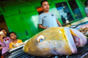 Extreme HALAL Food in Makassar, Indonesia!!! (do they really eat that?)