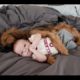 Funny Dogs Protecting Babies Compilation (2016)