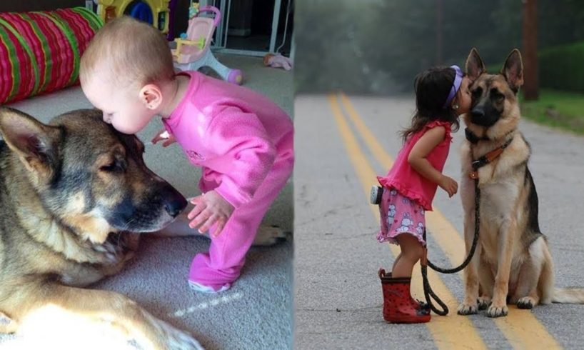 Funny and Cute German Shepherd Puppies Compilation #2 - Cutest GSD