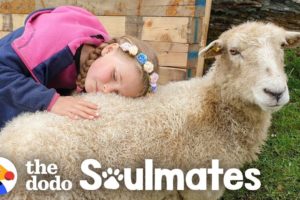 Girl And Her Sheep Have The Most Perfect Friendship | The Dodo