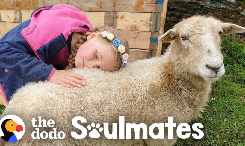 Girl And Her Sheep Have The Most Perfect Friendship | The Dodo