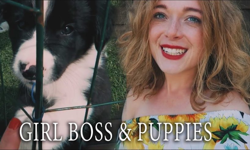Girl Boss Day & The Cutest Puppies