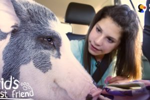 Girl's BFFs Are Two Pigs — Who Act Just Like Dogs | The Dodo Kid's Best Friend