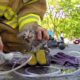 GoPro: Fireman Saves Kitten