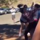 Hood fights (Girl fight) New) Girl is Not Backing Down Let’s Fight 2018