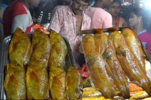 Huge Varieties of Fish /Chicken Tandoor | Street Food Digha India