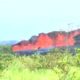 Hundreds Of Animals Rescued From Hawaii Lava