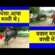 Jafarabadi Bull - जाफराबादी भैंसे की मस्ती - ( Jhota ) Giant Animal Playing