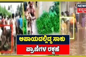 K'taka Flood: Heart-Wrenching Video Of Pet Animals Rescued By Villagers