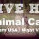LIVE Animal Cam - Watch Wildlife 24/7 (*Night Vision*) - ??