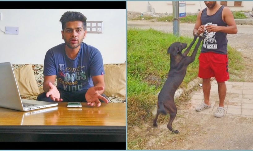Labrador Pup RESCUED , Owner Booked For Neglect In Bengaluru | Cruelty To Animals Act 1960 |