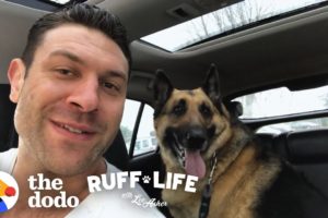 Lee Adopts 3 Dogs In 1 Day! | Ruff Life With Lee Asher