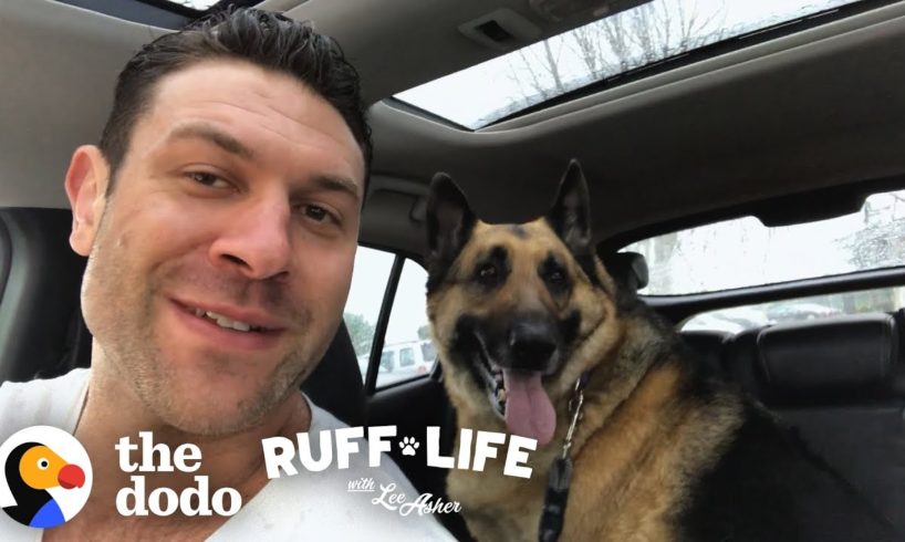 Lee Adopts 3 Dogs In 1 Day! | Ruff Life With Lee Asher