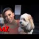 Let's Talk Cute Puppies! | TMZ