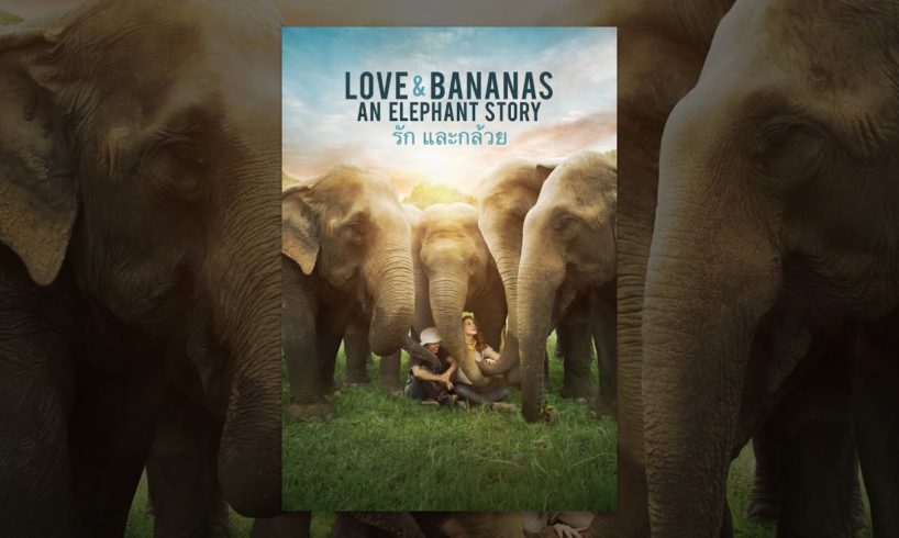 Love & Bananas: An Elephant Story