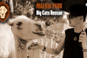 MALKIA PARK - A Place for Rescued Animals · The Wave of Things #74