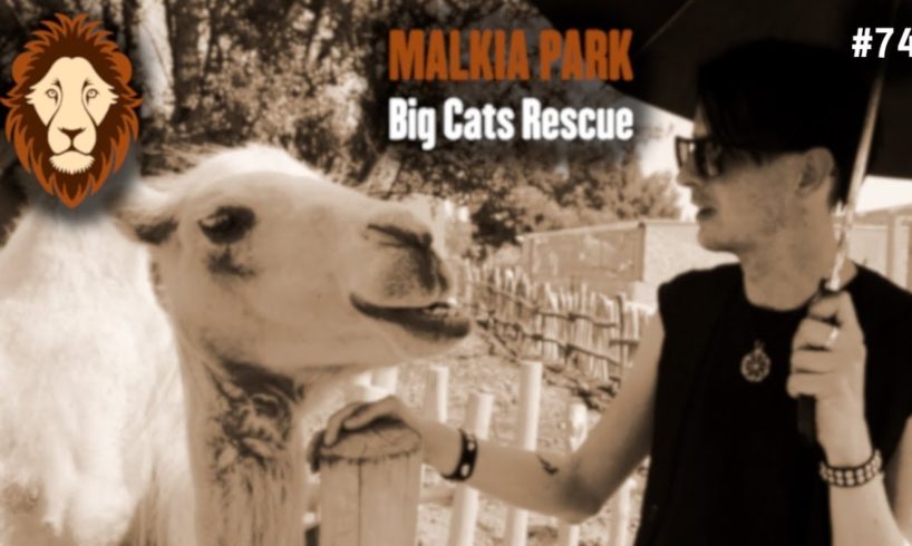 MALKIA PARK - A Place for Rescued Animals · The Wave of Things #74
