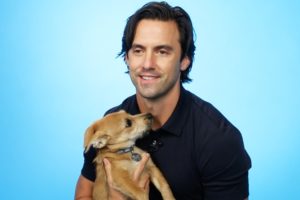 Milo Ventimiglia Plays With Puppies While Answering Fan Questions