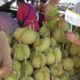 Monthong Durians ( Thai Jackfruit) | Thai People are Crazy to Buy | Bangkok Street Food