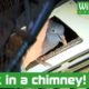 Mystery visitor rescued from house chimney! - Animal rescue