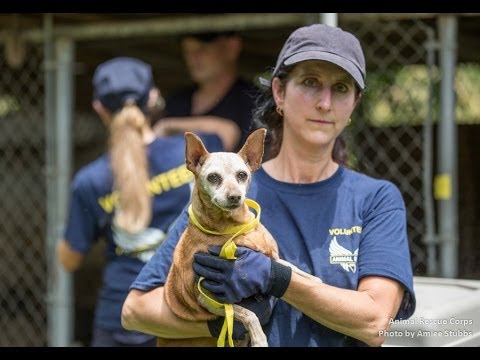 Operation Liberty Dogs - July 3rd, 2014