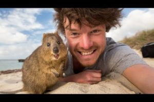 Quokka Selfie Tutorial - How to take Animal Selfies - Ultimate Guide