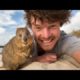 Quokka Selfie Tutorial - How to take Animal Selfies - Ultimate Guide