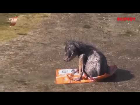 Real Life Super Heroes   Amazing Acts of Kindness People Are Awesome 2017 Part 5   YouTube