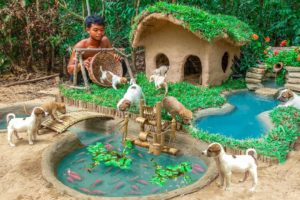 Rescue Abandoned Puppies Building Mud House Dog And Fish Pond For Red Fish