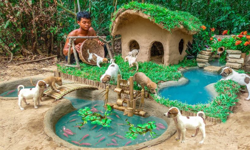 Rescue Abandoned Puppies Building Mud House Dog And Fish Pond For Red Fish