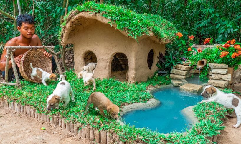 Rescue dog by Collect Abandoned Dog and Build Mud Dog House with Mini Water Fall Swimming Pool