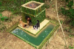 Rescues Dog Lost Mum Build Bamboo House Mini Pool & Fish Pond