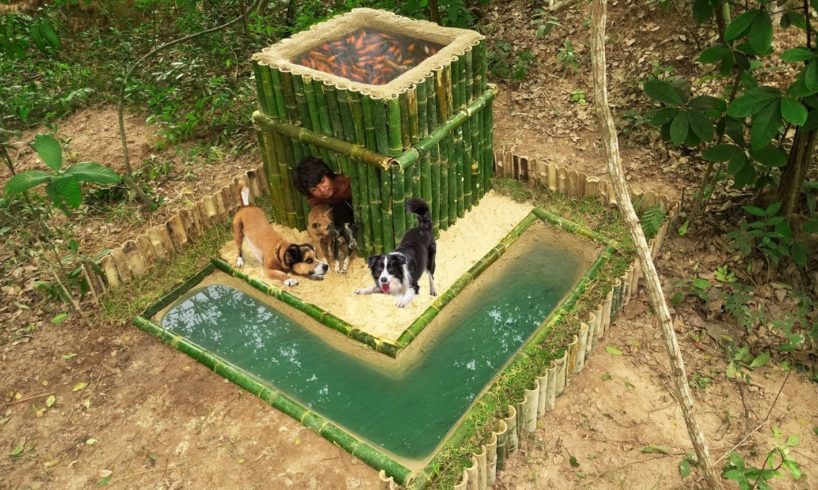 Rescues Dog Lost Mum Build Bamboo House Mini Pool & Fish Pond