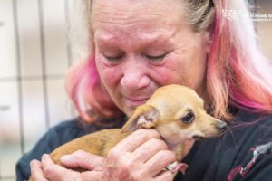 Reuniting animals after disaster