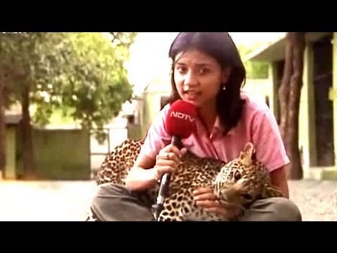 Safari India: Exotic animals bred and released in the wild
