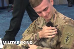 Soldier reunites with puppy he met overseas | Militarykind