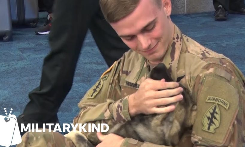 Soldier reunites with puppy he met overseas | Militarykind