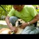 Special Dog Rescued by Man Who Drives Across the Country To Save Him | The Dodo Comeback Kids S01E05