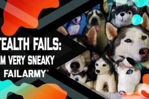 Stealth Fails: I'm Very Sneaky (July 2019) | FailArmy
