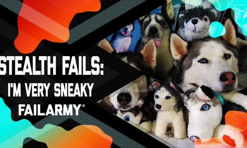 Stealth Fails: I'm Very Sneaky (July 2019) | FailArmy
