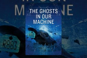 The Ghosts In Our Machine