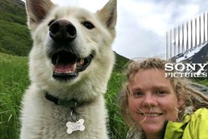 This Amazing Rescue Dog has RESCUED Multiple People | ALPHA