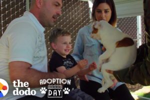 This Pittie Was Pregnant In A Shelter When She Found The Best Family  | The Dodo Adoption Day