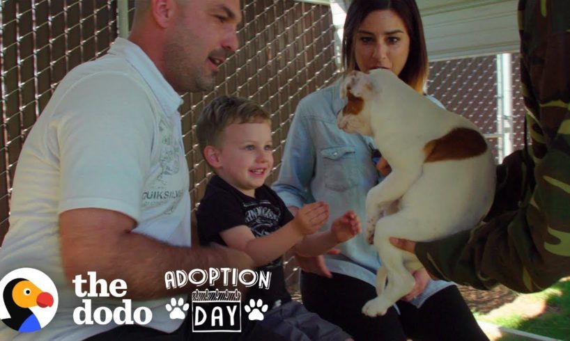 This Pittie Was Pregnant In A Shelter When She Found The Best Family  | The Dodo Adoption Day