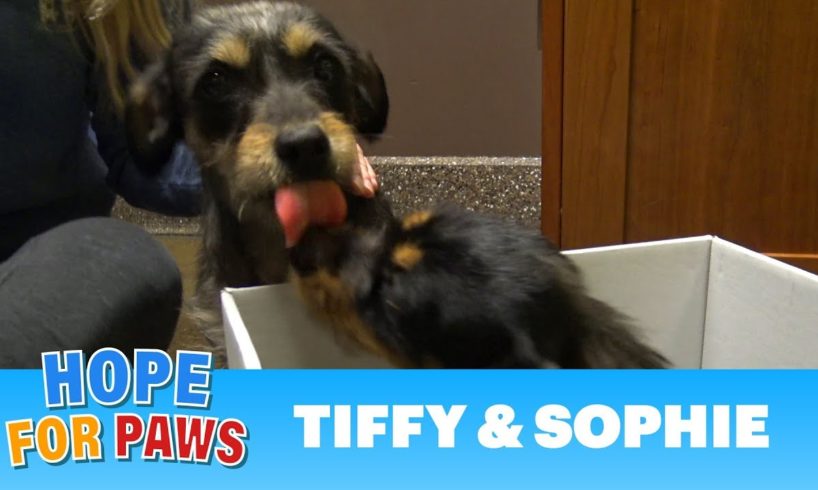 This rescue was unbelievable - I'm so happy I caught it on camera!!!