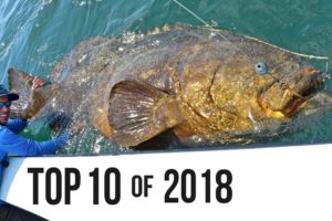 Top 10 Best Fishing Moments from 2018