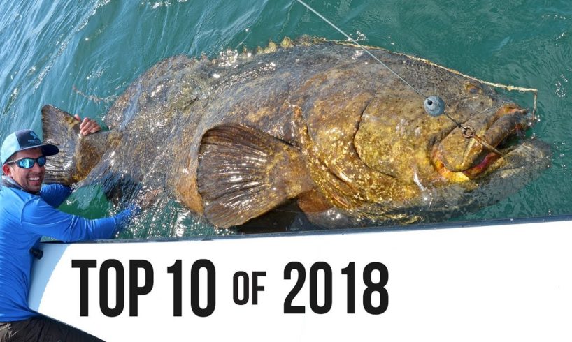 Top 10 Best Fishing Moments from 2018